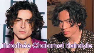 Timothée Chalamet Inspired Hairstyle Tutorial [upl. by Atinus]