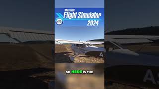 Walking Inside Microsoft Flight Simulator 2024 Hard Proof Revealed fs2024 flightsimulator flight [upl. by Yatnoed]