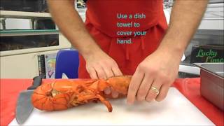 How to cook a live lobster [upl. by Simetra169]