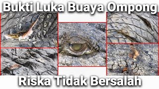 Bukti Buaya Riska bukan pelaku penerkaman [upl. by Cerellia]