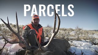 PARCELS  A Colorado 4th Season Rifle Mule Deer Hunt [upl. by Breger929]