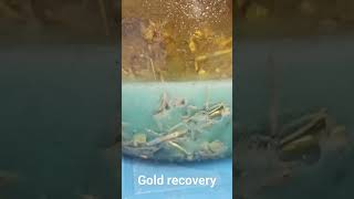 Gold recovery odzysk złota gold goldrecovery złoto odzyskzlota [upl. by Ettenrahs]