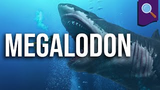 Desmistificando megalodon [upl. by Funch425]