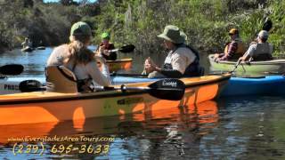 Everglades Area Tours Guided Eco Adventures [upl. by Therese]