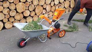 Compact 4HP Electric Wood Chipper  Garden Shredder FM4DDE [upl. by Hillary]