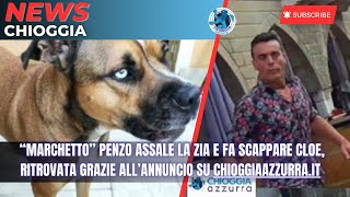 “MARCHETTO” PENZO ASSALE LA ZIA E FA SCAPPARE CLOE RITROVATA GRAZIE ALL’ANNUNCIO CHIOGGIAAZZURRAIT [upl. by Chic]