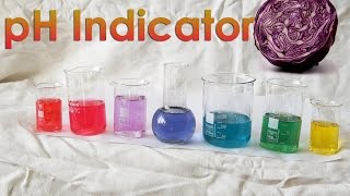 Make your OWN pH Indicator from Red Cabbage [upl. by Inahet]