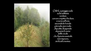 quotLa pioggia nel pinetoquot di Gabriele DAnnunzio lettura e rinvio allanalisi [upl. by Stefanie]