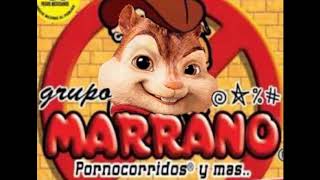 El ansiosoGrupo Marrano con Alvin y las ardillas [upl. by Edin685]