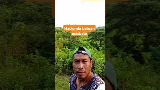 Pastural Ng hacienda batuna Masbate shortvideo viralshort [upl. by Nerrol]