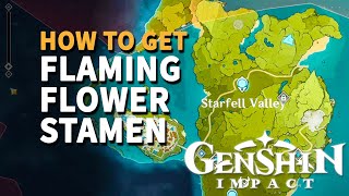 How to get Flaming Flower Stamen Genshin Impact [upl. by Landan]