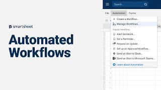 Automated Workflows Overview [upl. by Etteoj848]