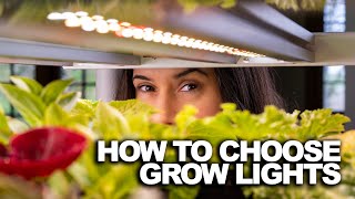 What I wish I knew about grow lights before I started gardening [upl. by Hakeem]