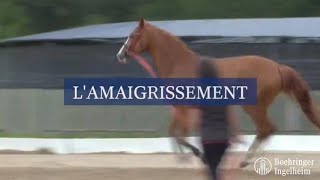 Minute Santé Boehringer  L amaigrissement [upl. by Ahseuqal88]