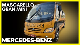 MICRO ÔNIBUS MASCARELLO GRAN MINI CHASSIS MERCEDESBENZ [upl. by Selec848]