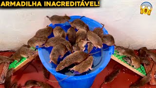 INCRÍVEL  A MELHOR ARMADILHA PARA RATOS JÁ CRIADA [upl. by Ilenna]