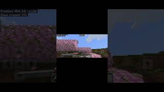 Pillager outpost  S 1 EP 10 minecraftbedrocksurvival survivalseris gameplay minecraft [upl. by Ahcorb513]