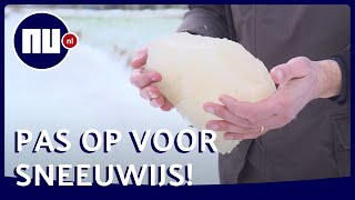 Friese ijsmeester waarschuwt voor sneeuwijs Het is niet sterk  NUnl [upl. by Ellary]