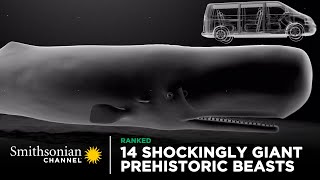 14 Shockingly Giant Prehistoric Beasts 🐋 Smithsonian Channel [upl. by Menzies]