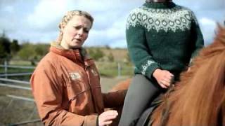 Íshestar  How to ride an Icelandic horse [upl. by Elrod]