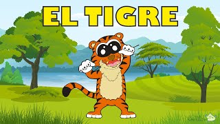 Características del Tigre para Niños 🐯  El Tigre es Mas GRANDE que el Leon 😱 [upl. by Irrem]