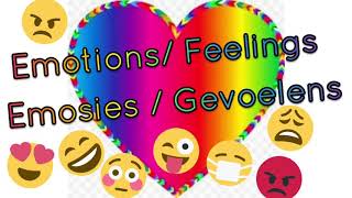 Emotions Emosies in Afrikaans and English Gr13 [upl. by Ritch508]