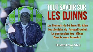 Le monde des djinns N°10  Tout savoir sur les djinns  Oustaz Arona SALL [upl. by Siul]