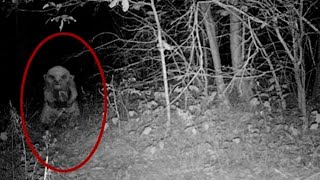 5 Goblins Caught on Camera [upl. by Gomer]