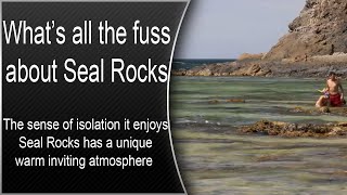 What’s all the fuss about Seal Rocks [upl. by Finlay]