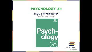 Video Lecture Chapter 3 Psychology 2e [upl. by Eulalee]