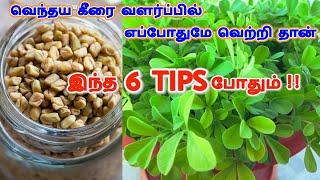 வெந்தய கீரை வளர்ப்பு SEMA TIPSFenugreek கீரைவெந்தயக்கீரைMethi Keeraimaadi veetu thottam tamil [upl. by Fanchet]