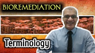 Bioremediation Terminology Crude oil Strategies and Requirements [upl. by Chow]