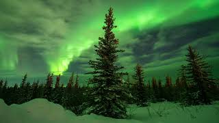 Arctic Auroras  8K Ultra HD Northern Lights Timelapse Compilation from Fort Yukon Alaska [upl. by Lamont]