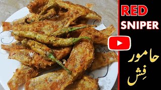 Red Sniper Fried Fish  Hamour Fish Recipe By Abu Ziyan Health Is Wealth 2 [upl. by Ayotl]