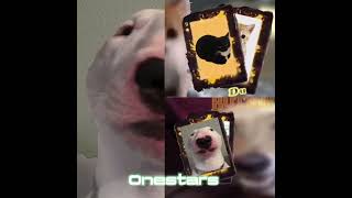 Dubstep Cat VS Butter Dog  wisedit wiseditor Wis edit Joke [upl. by Sallad799]