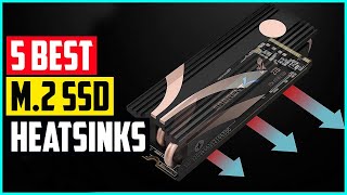 The 5 Best M 2 SSD Heatsinks In 2021 [upl. by Martina]