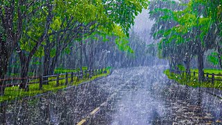 FORTE PLUIE pour Dormir et Soulagement de linsomnie  Bruit de la Pluie et Orages dans Parc Calme [upl. by Bourne919]