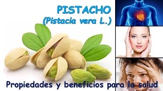 PISTACHO  PROPIEDADES Y BENEFICIOS PARA LA SALUD [upl. by Iadrahc762]