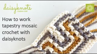 How To Work A Tapestry Mosaic Sample With daisyknots [upl. by Alysa342]