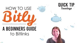 How to Use Bitly Beginners Guide to Bitlinks [upl. by Blen455]