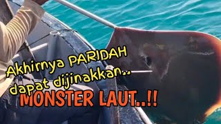 mancing ikan pari  Stingray [upl. by Asoral]