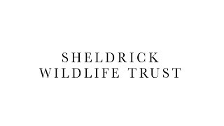 Sheldrick Wildlife Trust logo unveiled  Sheldrick Trust [upl. by Ettenaej]