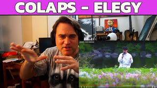 BEATBOX REACTION  COLAPS  ELEGY  Musician Analysis [upl. by Wetzell135]