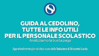 Stipendio docenti e Ata come leggere il cedolino video tutorial [upl. by Moretta]