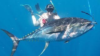 Spearfishing Yellowfin tuna Blue water spearfishing [upl. by Ahsenrad]