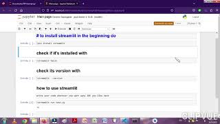 how to use streamlit with Jupyter [upl. by Ellehcsor]