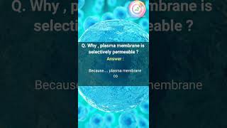 Plasma membrane is selectively permeable  shorts shortsfeed youtubeshorts shortvideo [upl. by Anayeek577]