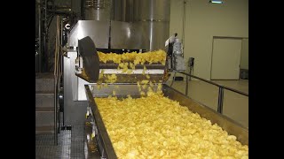 Potato Chips Deep Fryer Line [upl. by Gunas186]