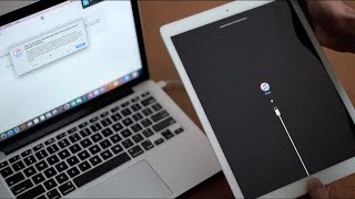 How to Bypass Screen Lock  passcode lock on iPad [upl. by Artinad]