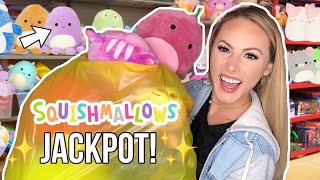 SQUISHMALLOW HUNT WITH ME 😱😍 I HIT THE JACKPOT [upl. by Iormina]